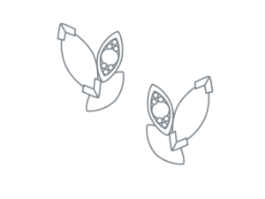 Boucles d’oreilles